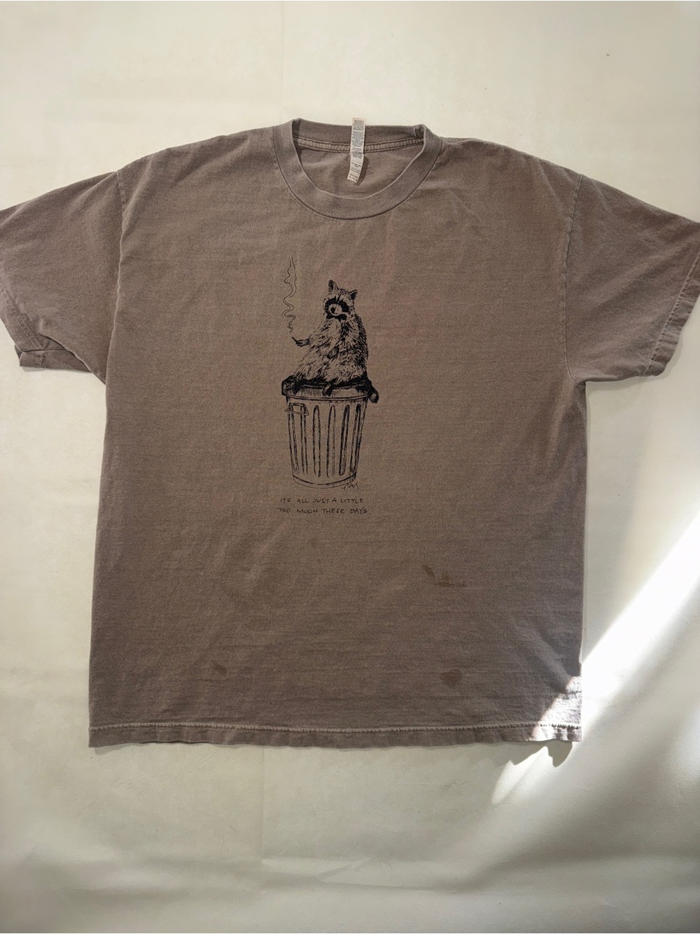 American Apparel Brown Short-Sleeve Tee with Raccoon Graphic